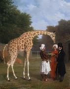Jacques-Laurent Agasse The Nuian Giraffe (mk25) oil painting artist